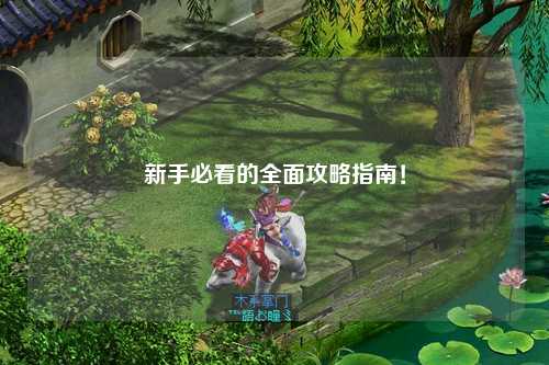 新手必看的全面攻略指南！