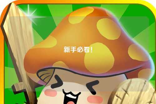 新手必看！